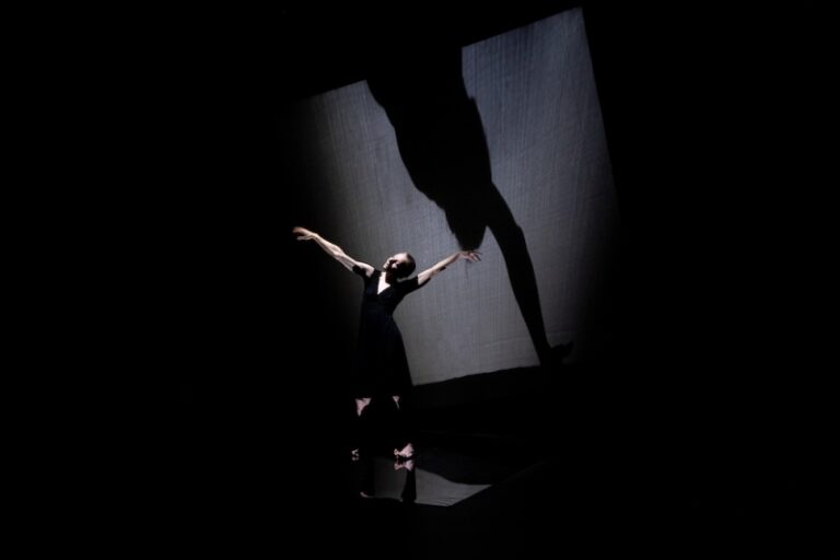 Šokio ir šešėlių mono spektaklis suaugusiems „Kontūrai“ / Klaipėdos lėlių teatras, Šeiko šokio teatras