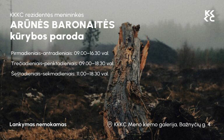 KKKC rezidentės Arūnės Baronaitės atvira kūrybos paroda
